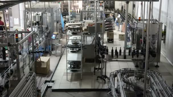 灌装和密封在酒厂厂输送线 — 图库视频影像