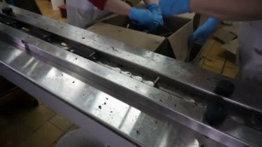 Konveyör otomatik satırları dondurma imalatı için