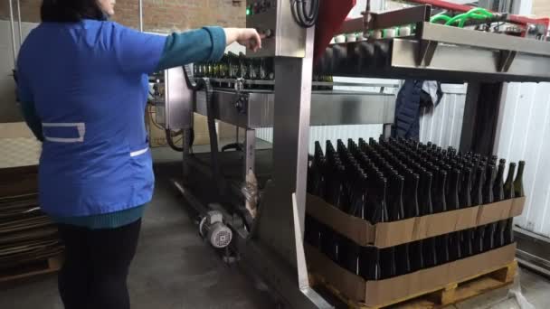 Sennoy Federación Rusa Febrero 2018 Alimentación Botellas Transportador Para Mayor — Vídeos de Stock