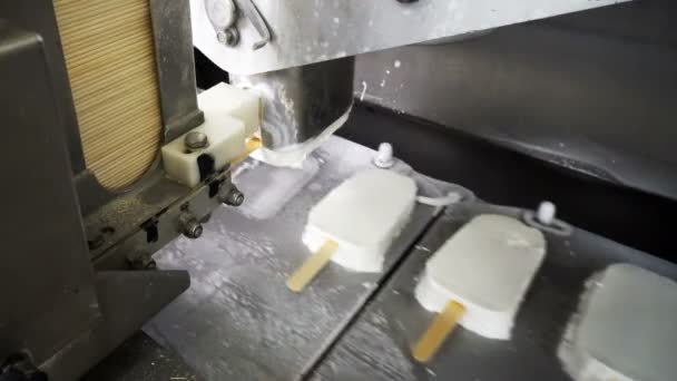 Las Líneas Automáticas Transportadoras Para Producción Helados — Vídeos de Stock