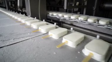 Konveyör otomatik satırları dondurma imalatı için