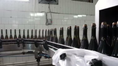 Satır şişeler için yıkama ve şampanya konveyör fabrikasında, şişeleme