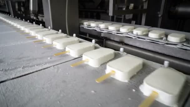 Автоматические Конвейерные Линии Производства Мороженого — стоковое видео