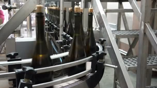 香槟酒厂的输送机灌装和封口生产线 — 图库视频影像