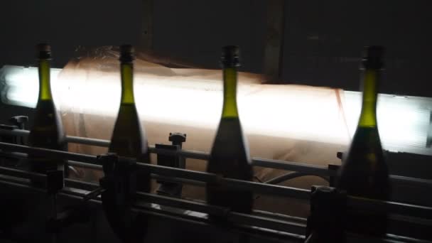 香槟酒厂的输送机灌装和封口生产线 — 图库视频影像