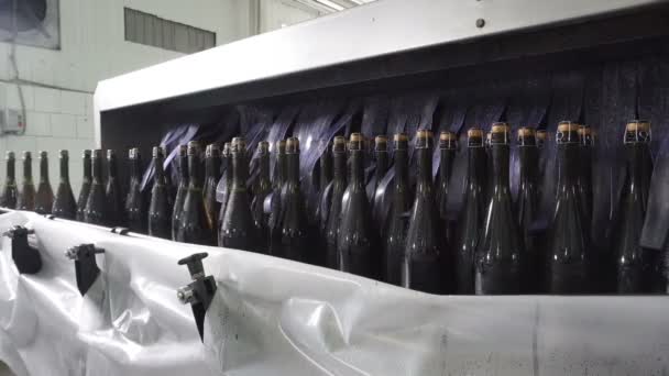 Satır Şişeler Için Yıkama Şampanya Konveyör Fabrikasında Şişeleme — Stok video