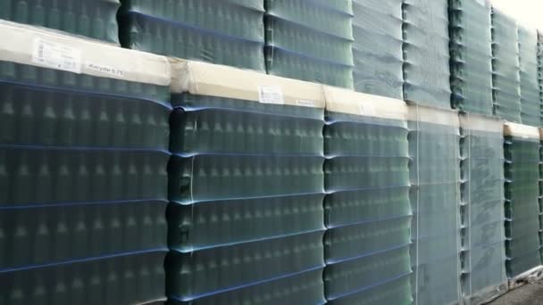 Lot Wrapped Empty Beer Bottles Pallets — Stock Video