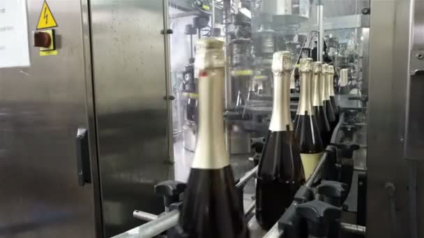 Sennoy 俄罗斯联邦 2018年2月15日 在香槟工厂灌装和密封输送机的生产线 — 图库视频影像