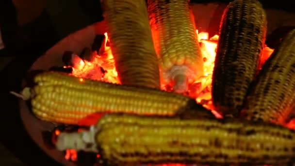 烤的玉米对煤中黑暗的特写 — 图库视频影像