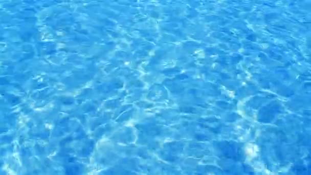 美しいさわやかな青いスイミングプールの水 — ストック動画