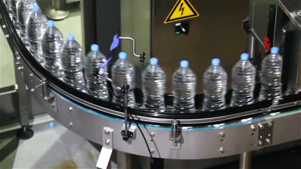 Waterfles Transportband Industrie — Stockvideo