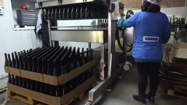 Sennoy Ryssland Februari 2018 Nappflaskor Till Transportören Ytterligare Tappning Vin — Stockvideo