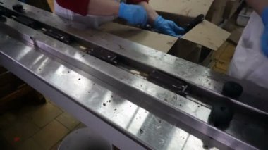 Konveyör otomatik satırları dondurma imalatı için