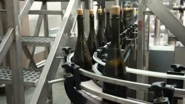 Doldurma ve mühürleme şampanya bir fabrikada konveyör için satır