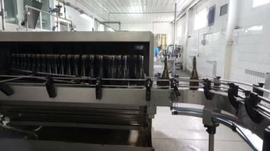 Satır şişeler için yıkama ve şampanya konveyör fabrikasında, şişeleme
