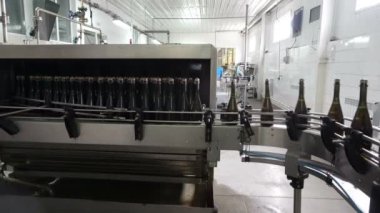 Satır şişeler için yıkama ve şampanya konveyör fabrikasında, şişeleme