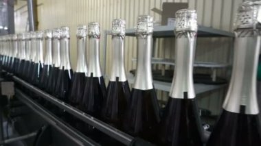 Sennoy, Rusya Federasyonu 15 Şubat 2018: doldurma ve mühürleme şampanya bir fabrikada konveyör için satır