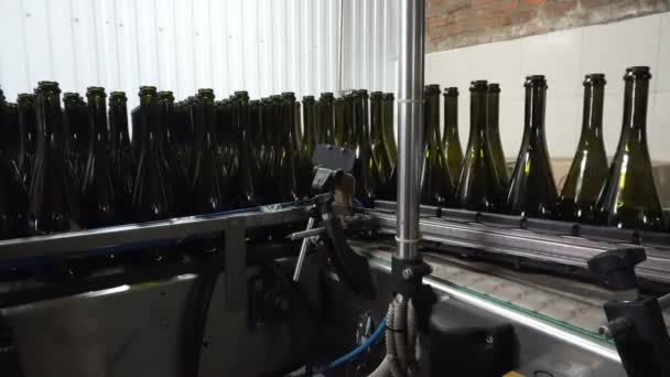 Bottelen Afdichten Van Lopende Lijn Winery Fabriek — Stockvideo