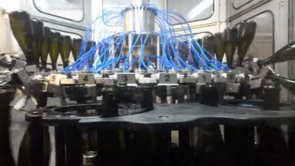 Washing Line Bottles Bottling Champagne Conveyor Factory — Stock Video