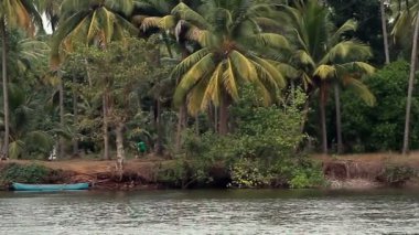 Güneşli bir gün, tropikal Nehri