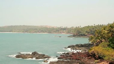 Palmiye ağaçları olan güzel bir sahil