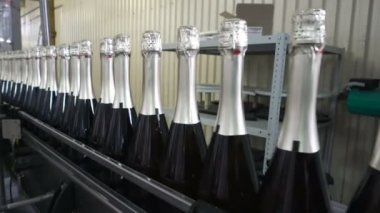 Sennoy, Rusya Federasyonu 15 Şubat 2018: doldurma ve mühürleme şampanya bir fabrikada konveyör için satır