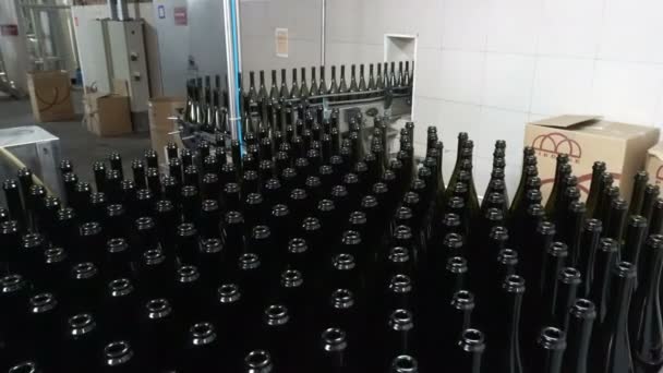 Sennoy Rusland Februari 2018 Bottelen Afdichten Van Lopende Lijn Winery — Stockvideo