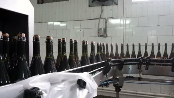 Raden För Fyllning Och Förslutning Transportband Fabrik Champagne — Stockvideo