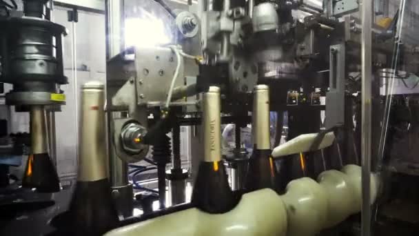 Sennoy Rusya Federasyonu Şubat 2018 Doldurma Mühürleme Şampanya Bir Fabrikada — Stok video