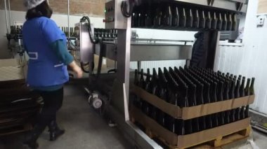 Sennoy, Rusya Federasyonu 14 Şubat 2018: biberon daha fazla şarap şişeleme için konveyör için