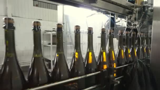 Linea Riempire Sigillare Trasportatore Una Fabbrica Champagne — Video Stock