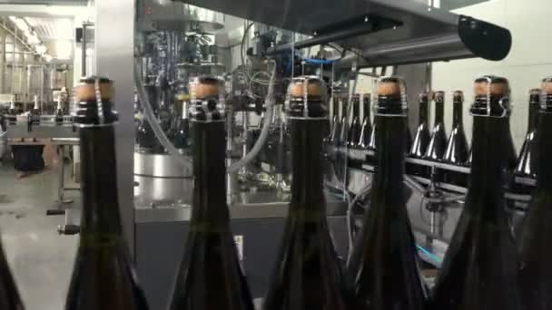 Лінія Заповнення Герметизації Конвеєра Заводі Шампанського — стокове відео