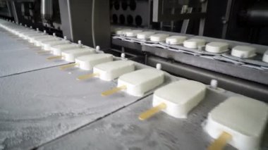 Konveyör otomatik satırları dondurma imalatı için