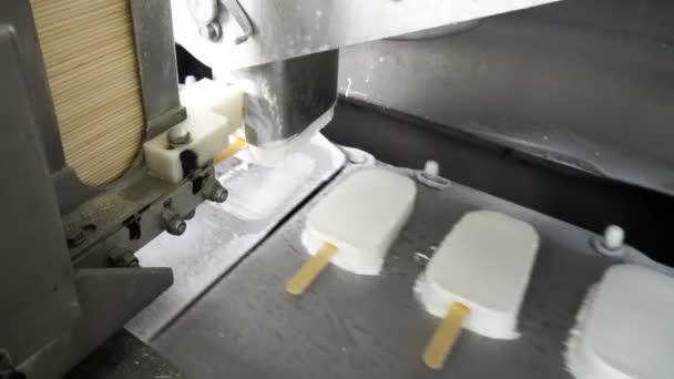 Konveyör Otomatik Satırları Dondurma Imalatı Için — Stok video