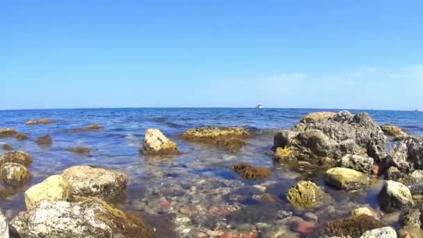 Θάλασσα Ωκεανός Ακτή Κάτω Από Τον Γαλάζιο Ουρανό Πολύ Καθαρό — Αρχείο Βίντεο