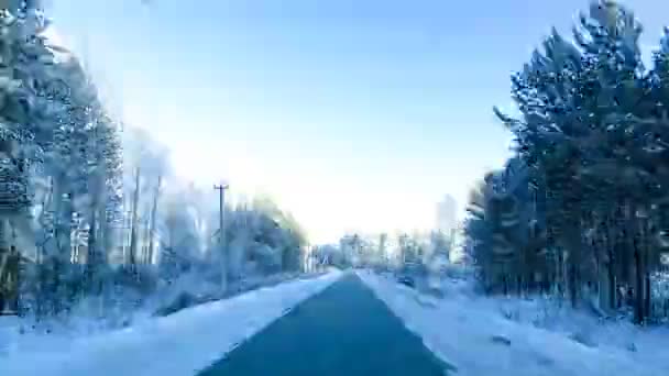 Caminho Estrada Através Floresta Inverno Imagens Intervalo Tempo — Vídeo de Stock