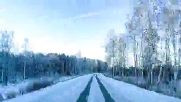 穿过冬季森林的道路 时光流逝的素材 — 图库视频影像