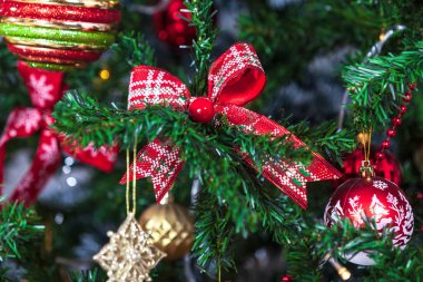 Güzel Noel ağacı closeup çekim
