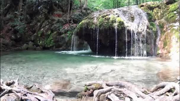 Vízesés Parkban Vagy Erdőben — Stock videók