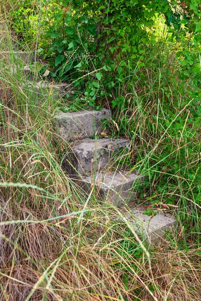 Tangga Beton Tua Bersembunyi Rumput — Stok Foto