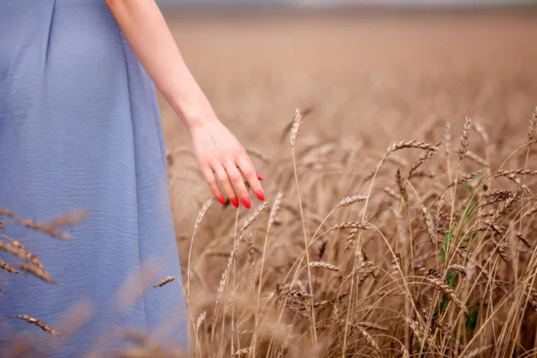 Girl Hand Touching Wheat Ears Field Summer Evening — Stock Photo, Image