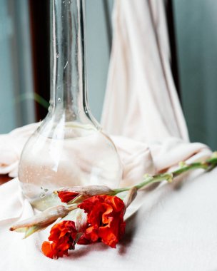 Arka planda güzel kırmızı çiçekler, kapat