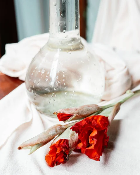 Arka planda güzel kırmızı çiçekler, kapat