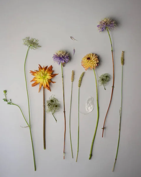 Beau Bouquet Fleurs Sur Fond Photo De Stock