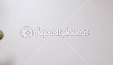 Çocuk bir yumuşak yeşil kaplumbağa oyuncakla oynar. Part_03. Çocuğun el oyuncak closeup ile.