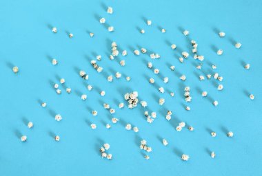 Mavi zemin üzerine beyaz küçük çiçekler.