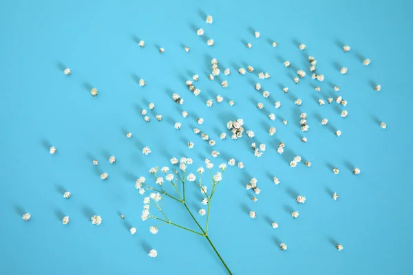 青の背景に白い小さな花 — ストック写真