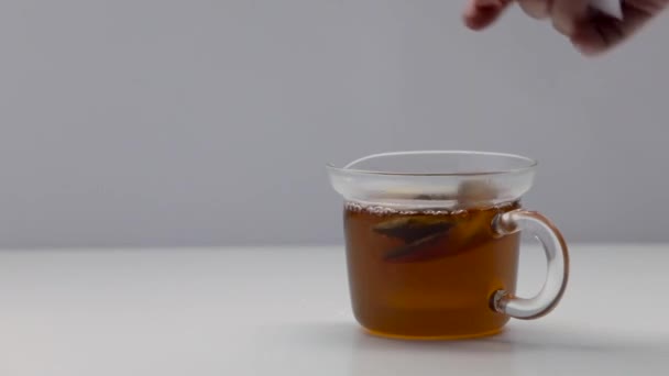 Glass Kettle Tea Bag Tea Ceremony Part — Stock Video