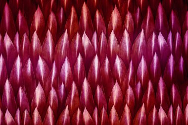 Kırmızı yapraklı kağıt. Arka plan.