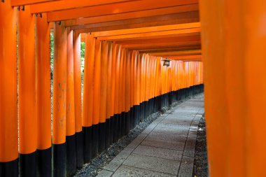 Torii kapılarında Fushimi Inari tapınak Kyoto, Japonya.
